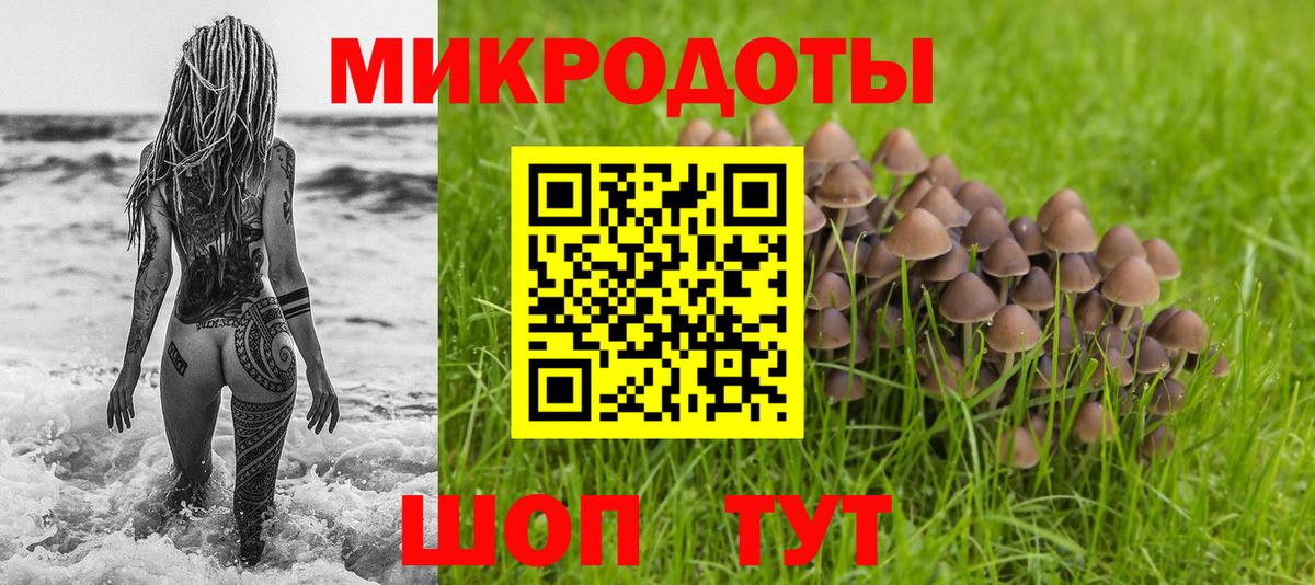 Псилоцибиновые грибы прущие грибы Миллерово